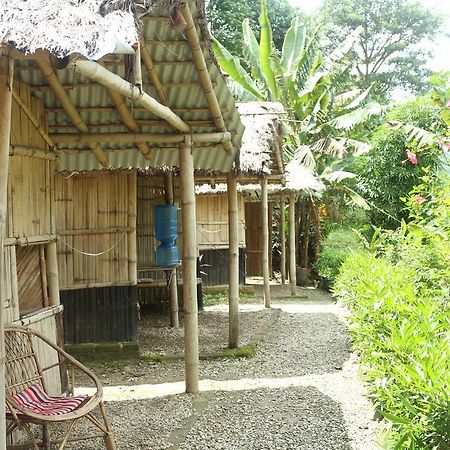 Trishuli River Side Resort Chitwan Exterior photo